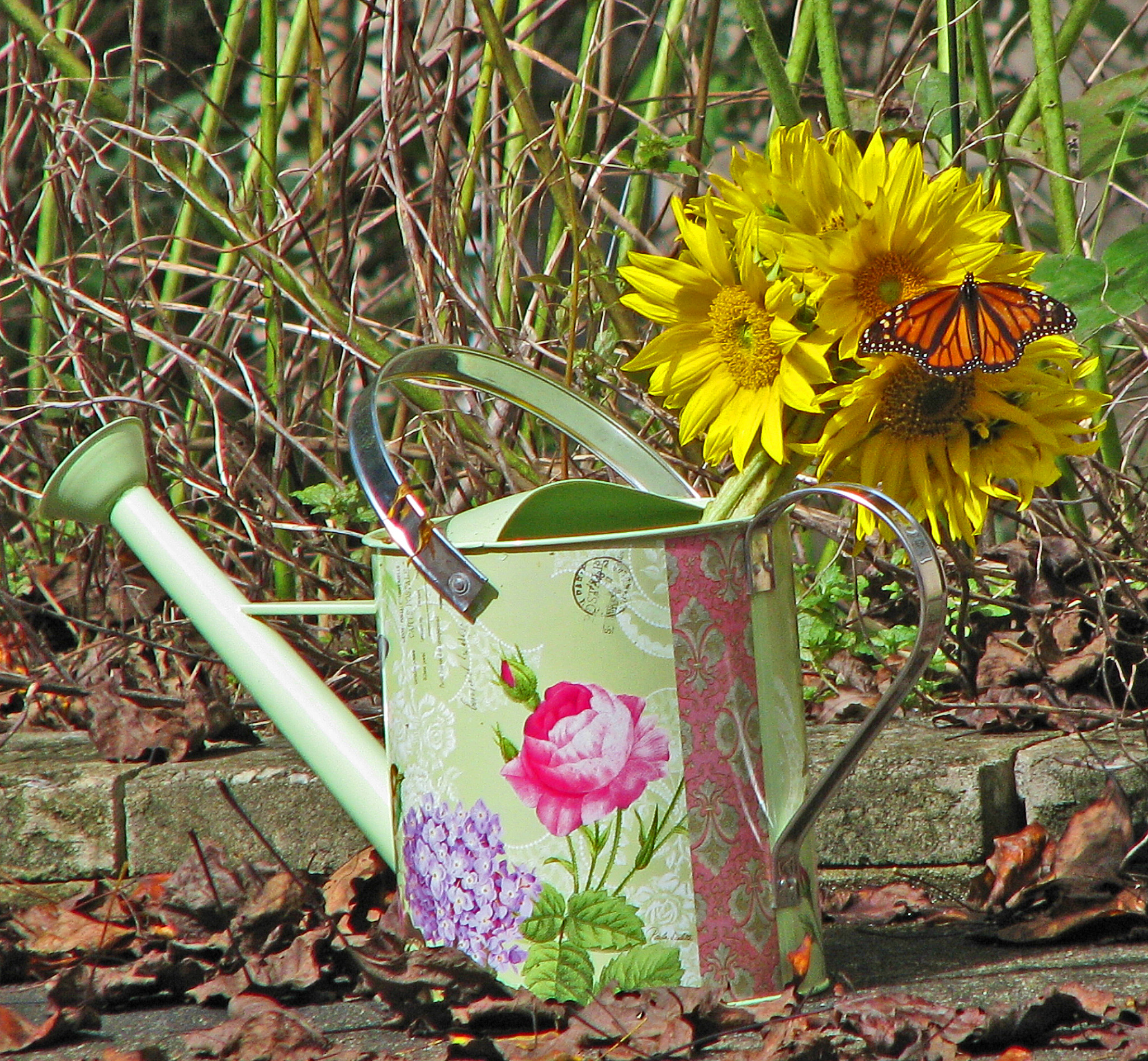 Damit Gettorf am 6. Mai GRÜN wählen kann